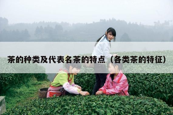 茶的种类及代表名茶的特点（各类茶的特征）