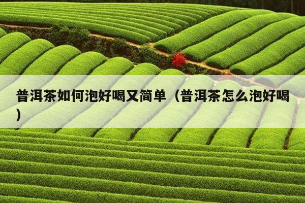 普洱茶如何泡好喝又简单（普洱茶怎么泡好喝）