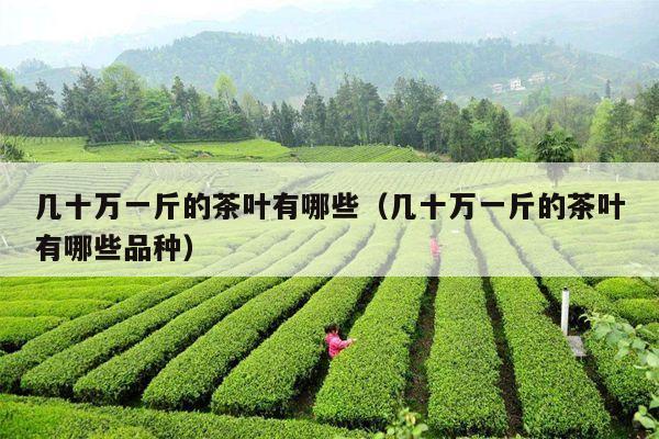 几十万一斤的茶叶有哪些（几十万一斤的茶叶有哪些品种）