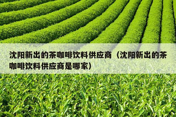 沈阳新出的茶咖啡饮料供应商（沈阳新出的茶咖啡饮料供应商是哪家）