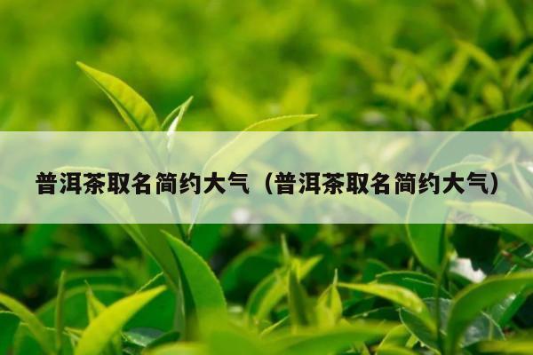 普洱茶取名简约大气（普洱茶取名简约大气）