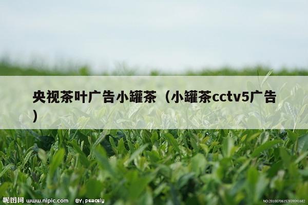 央视茶叶广告小罐茶（小罐茶cctv5广告）