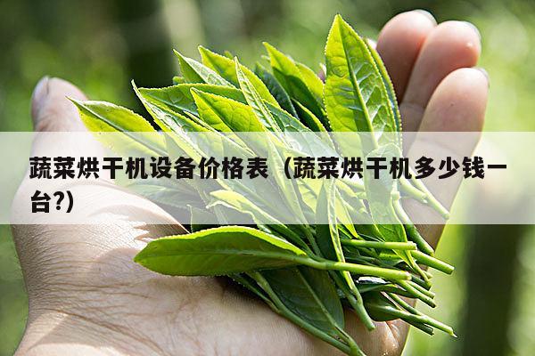 蔬菜烘干机设备价格表（蔬菜烘干机多少钱一台?）