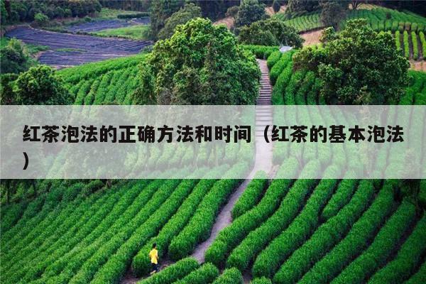 红茶泡法的正确方法和时间（红茶的基本泡法）