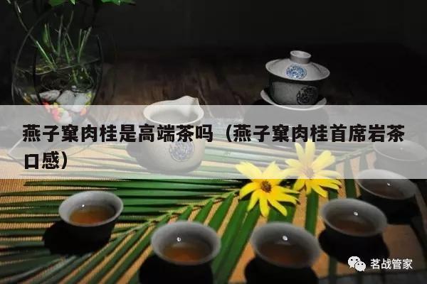 燕子窠肉桂是高端茶吗（燕子窠肉桂首席岩茶口感）