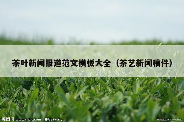 茶叶新闻报道范文模板大全（茶艺新闻稿件）