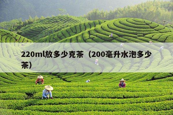 220ml放多少克茶（200毫升水泡多少茶）