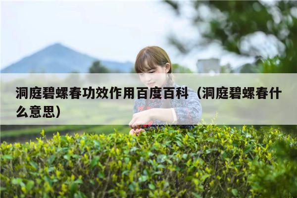 洞庭碧螺春功效作用百度百科（洞庭碧螺春什么意思）