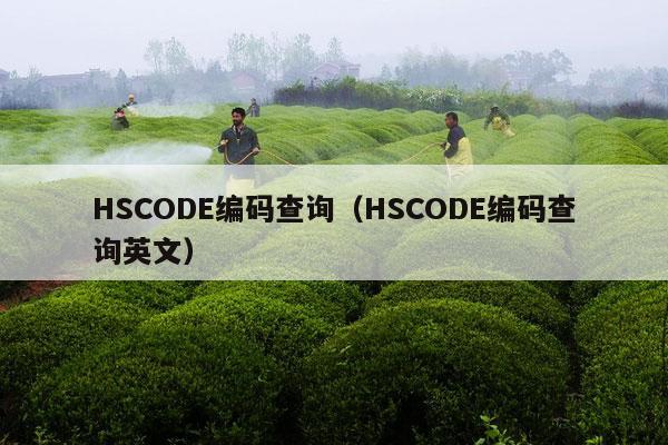 HSCODE编码查询（HSCODE编码查询英文）