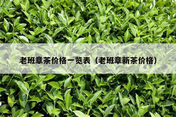 老班章茶价格一览表（老班章新茶价格）