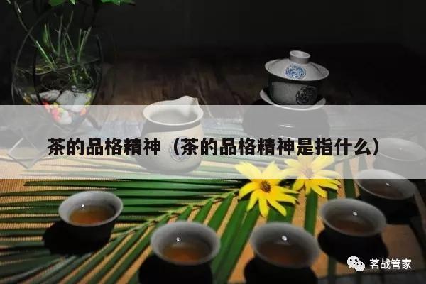 茶的品格精神（茶的品格精神是指什么）