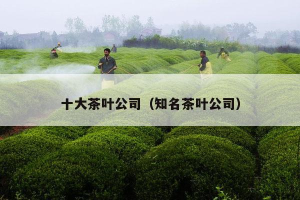 十大茶叶公司（知名茶叶公司）