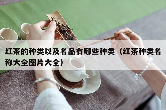 红茶的种类以及名品有哪些种类（红茶种类名称大全图片大全）