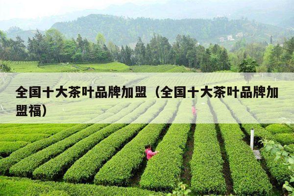 全国十大茶叶品牌加盟（全国十大茶叶品牌加盟福）