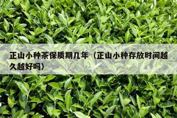 正山小种茶保质期几年（正山小种存放时间越久越好吗）