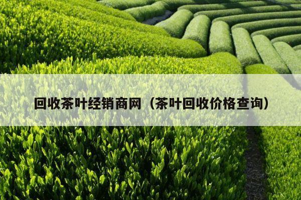 回收茶叶经销商网（茶叶回收价格查询）