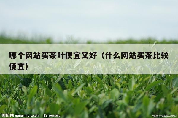 哪个网站买茶叶便宜又好（什么网站买茶比较便宜）