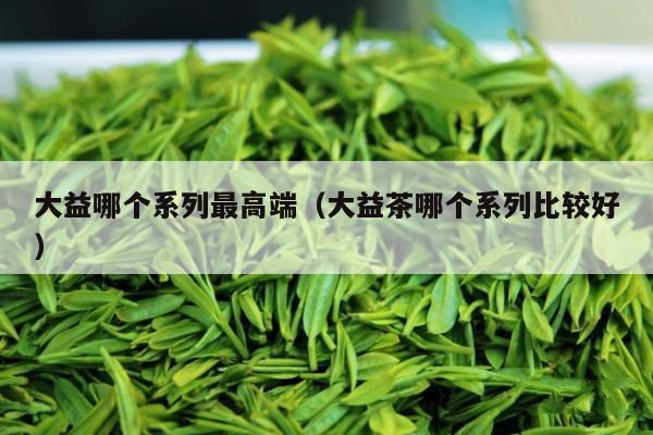 大益哪个系列最高端（大益茶哪个系列比较好）