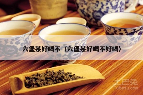 六堡茶好喝不（六堡茶好喝不好喝）