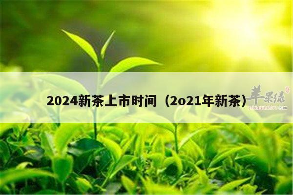 2024新茶上市时间（2o21年新茶）