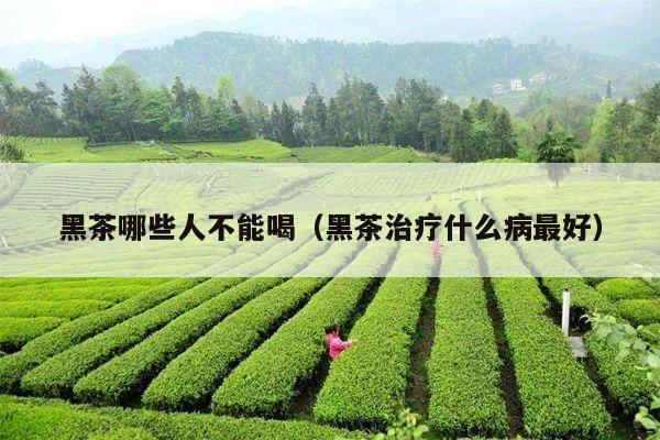 黑茶哪些人不能喝（黑茶治疗什么病最好）