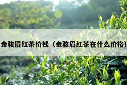 金骏眉红茶价钱（金骏眉红茶在什么价格）