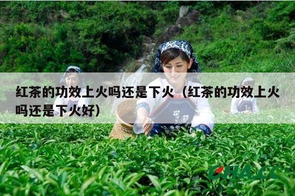 红茶的功效上火吗还是下火（红茶的功效上火吗还是下火好）