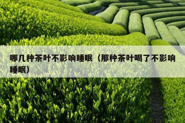 哪几种茶叶不影响睡眠（那种茶叶喝了不影响睡眠）