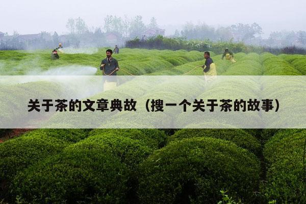 关于茶的文章典故（搜一个关于茶的故事）