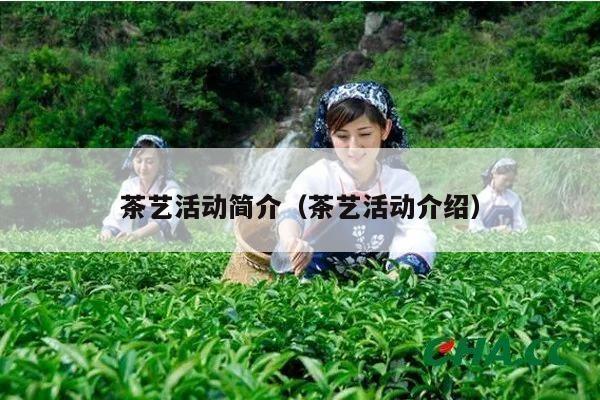 茶艺活动简介（茶艺活动介绍）