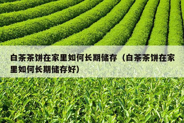 白茶茶饼在家里如何长期储存（白茶茶饼在家里如何长期储存好）