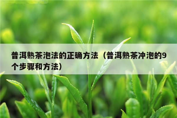 普洱熟茶泡法的正确方法（普洱熟茶冲泡的9个步骤和方法）