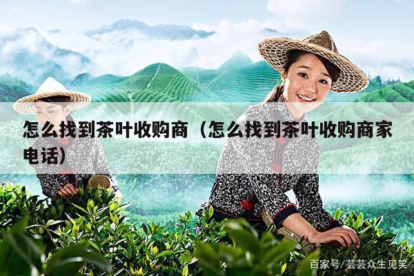 怎么找到茶叶收购商（怎么找到茶叶收购商家电话）