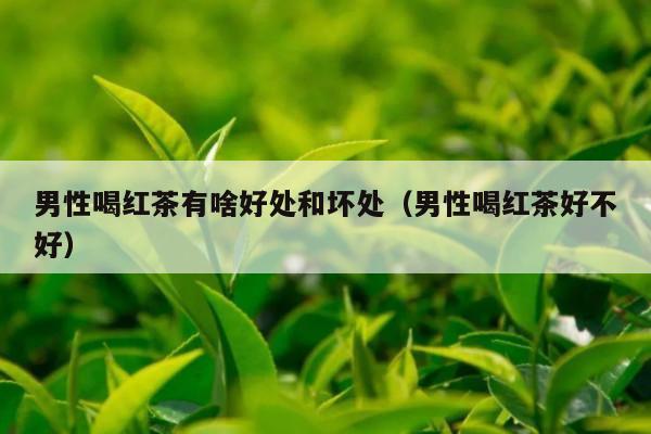 男性喝红茶有啥好处和坏处（男性喝红茶好不好）