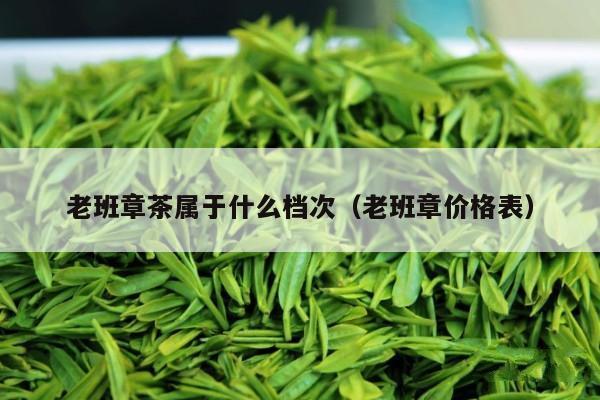 老班章茶属于什么档次（老班章价格表）