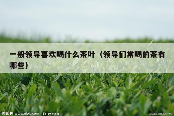 一般领导喜欢喝什么茶叶（领导们常喝的茶有哪些）