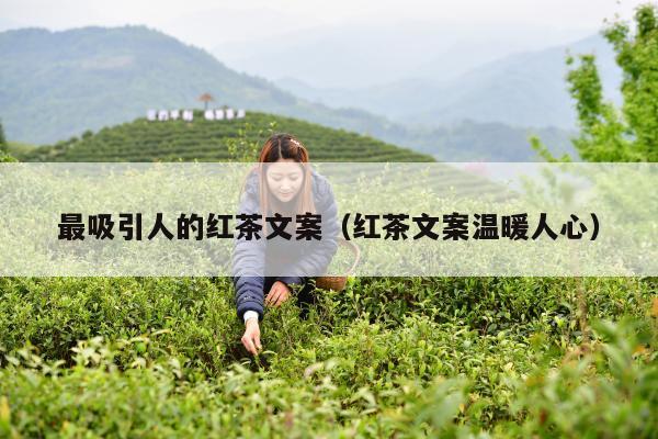 最吸引人的红茶文案（红茶文案温暖人心）