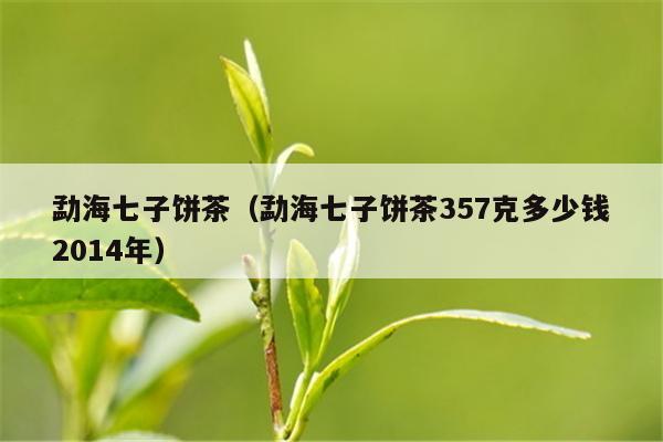 勐海七子饼茶（勐海七子饼茶357克多少钱2014年）