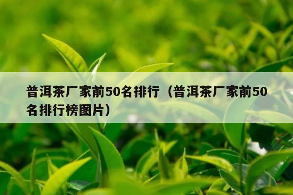 普洱茶厂家前50名排行（普洱茶厂家前50名排行榜图片）