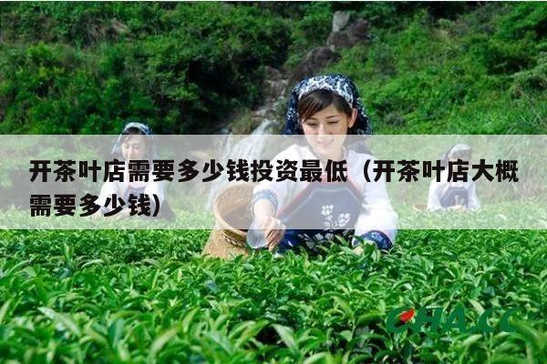 开茶叶店需要多少钱投资最低（开茶叶店大概需要多少钱）