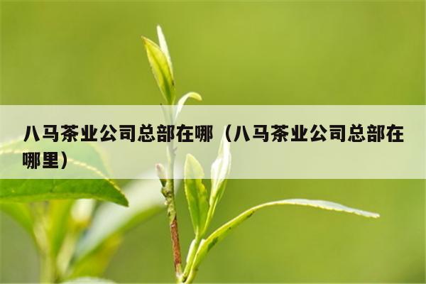 八马茶业公司总部在哪（八马茶业公司总部在哪里）