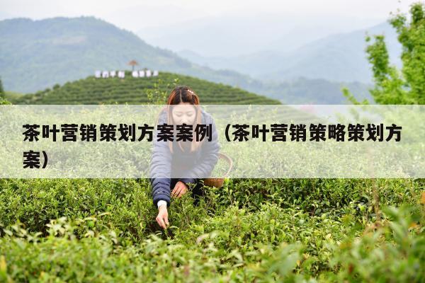 茶叶营销策划方案案例（茶叶营销策略策划方案）