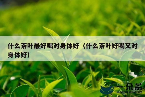 什么茶叶最好喝对身体好（什么茶叶好喝又对身体好）