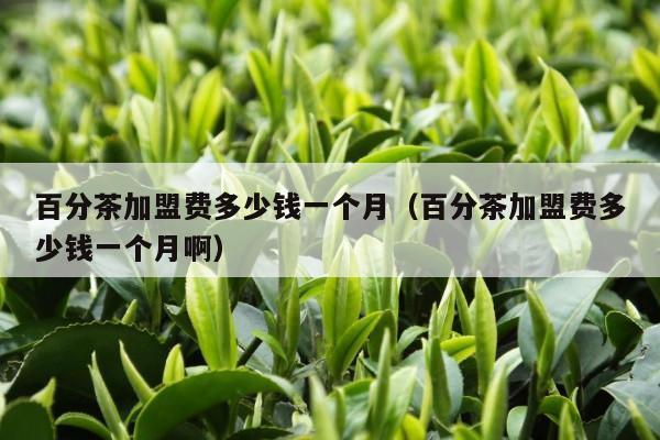 百分茶加盟费多少钱一个月（百分茶加盟费多少钱一个月啊）