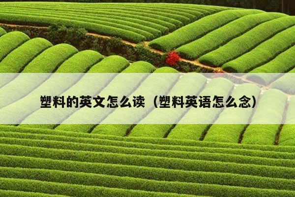 塑料的英文怎么读（塑料英语怎么念）