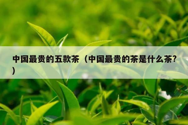 中国最贵的五款茶（中国最贵的茶是什么茶?）