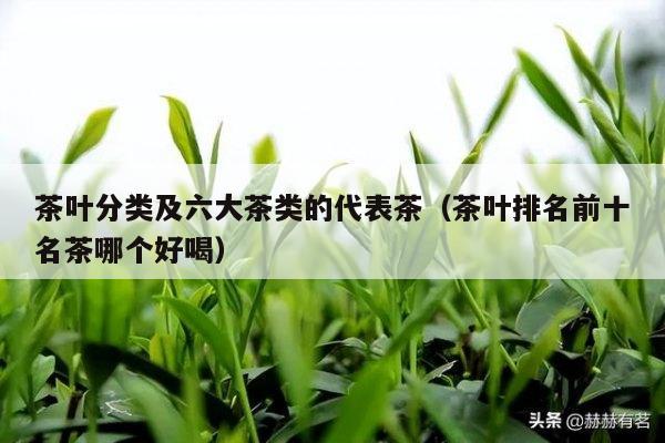 茶叶分类及六大茶类的代表茶（茶叶排名前十名茶哪个好喝）