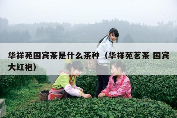 华祥苑国宾茶是什么茶种（华祥苑茗茶 国宾大红袍）