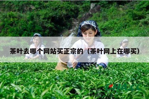 茶叶去哪个网站买正宗的（茶叶网上在哪买）