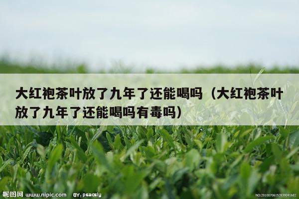 大红袍茶叶放了九年了还能喝吗（大红袍茶叶放了九年了还能喝吗有毒吗）